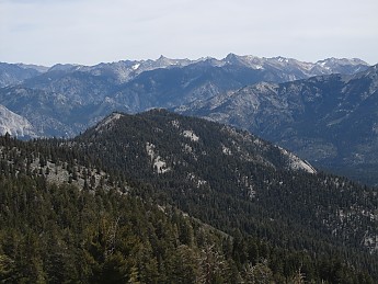 IMG_4466.jpg