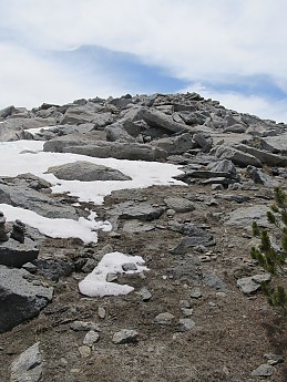 IMG_4383.jpg
