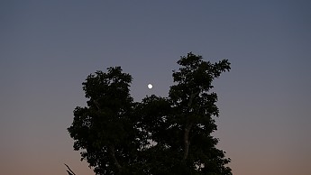 TRIP-125-345.jpg