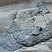 IMG_5105