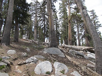 IMG_4380.jpg