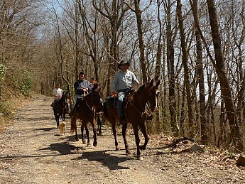 TRIP-121-403.jpg