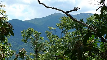 TRIP-125-180.jpg