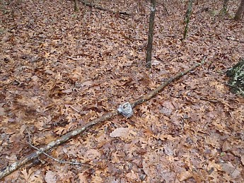 Winter-Hike2012-015.jpg