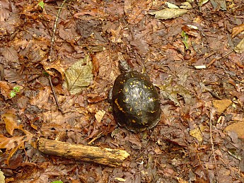 TRIP-134-497.jpg