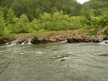 TRIP-134-500.jpg