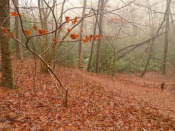 TRIP-142-175.jpg