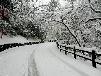 DSCN1929.jpg