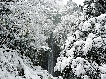 DSCN1931.jpg