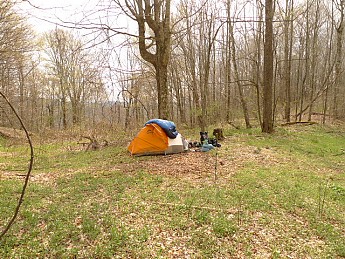 TRIP-121-413.jpg