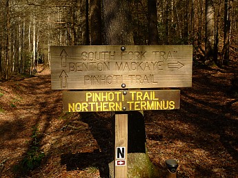 TRIP-142-195.jpg