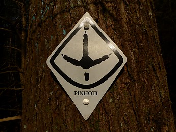 TRIP-142-203.jpg