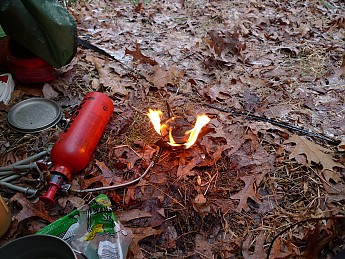 TRIP-142-206.jpg