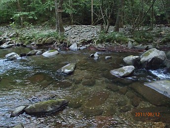 Summer-6-024.jpg