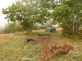 TRIP-125-388.jpg
