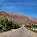 Road to Tafraout