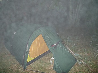 TRIP-125-418.jpg