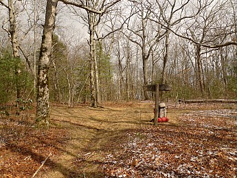 TRIP-142-220.jpg
