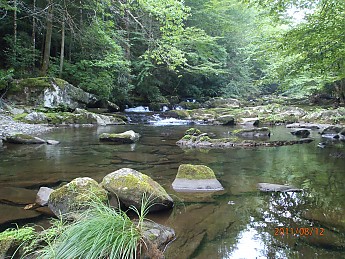 Summer-6-027.jpg
