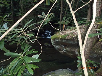Summer-6-032.jpg
