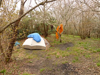 TRIP-121-425.jpg
