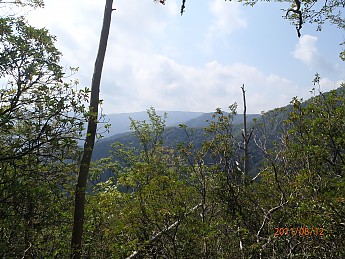 Summer-6-043.jpg