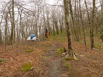 TRIP-121-432.jpg