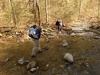 TRIP-142-397.jpg