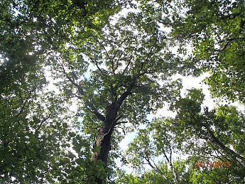 Summer-6-048.jpg