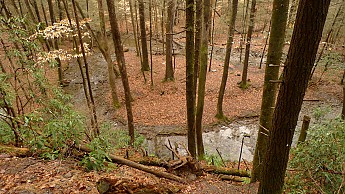 TRIP-142-402.jpg