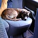 Photo0403T