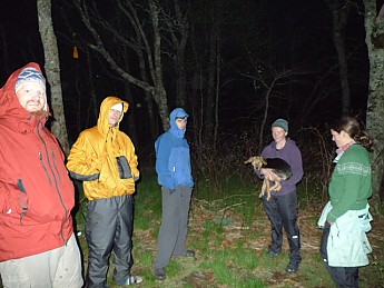 TRIP-121-436.jpg