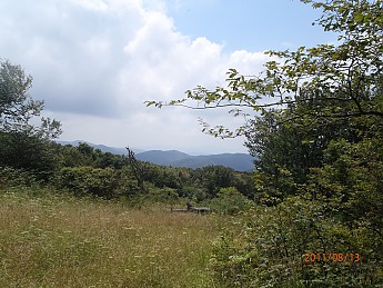 Summer-6-057.jpg
