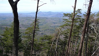TRIP-142-411.jpg