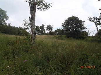 Summer-6-058.jpg