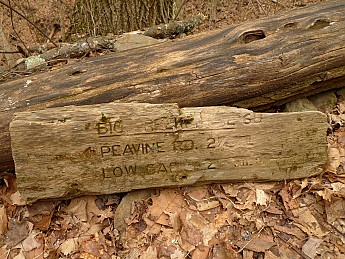 TRIP-142-427.jpg