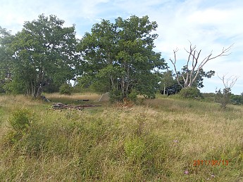 Summer-6-073.jpg