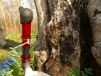 TRIP-121-448.jpg