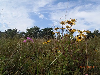 Summer-6-074.jpg
