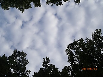 Summer-6-079.jpg
