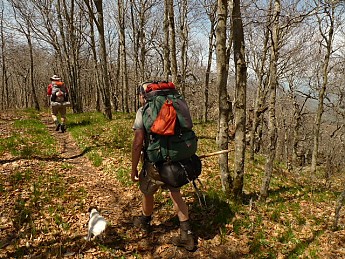 TRIP-121-445.jpg