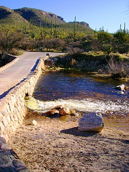 Bear-Canyon-to-Seven-Falls-and-beyond-3-
