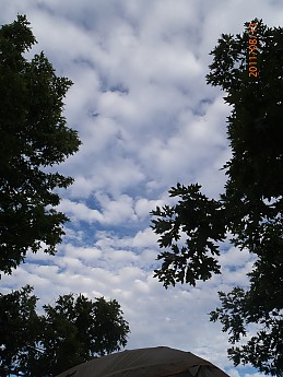 Summer-6-080.jpg