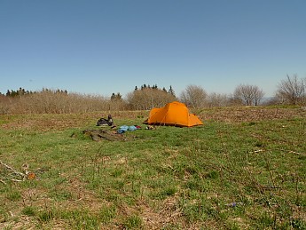 TRIP-121-446.jpg