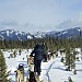 EagleDog0222a