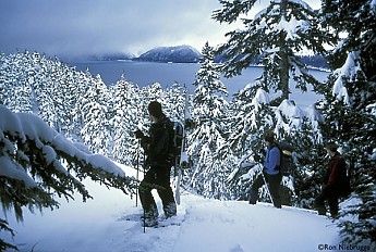 HIKERS-SNOWSHOEING_.jpg