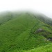 IMG_4694