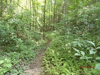 Summer-6-098.jpg