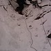 climbing