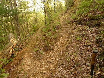 TRIP-121-461.jpg